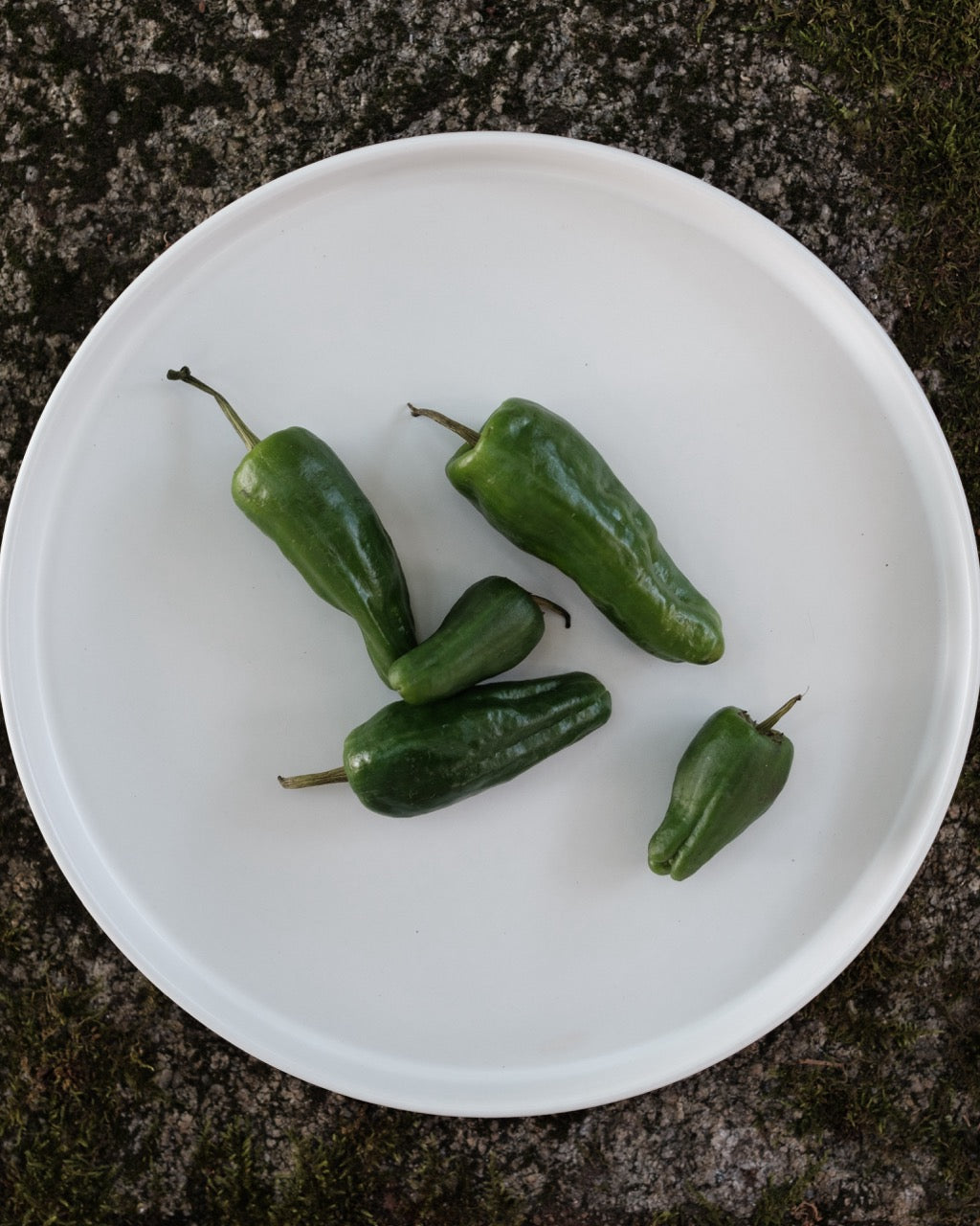 Handgemachtes Keramik Geschirrset weiß